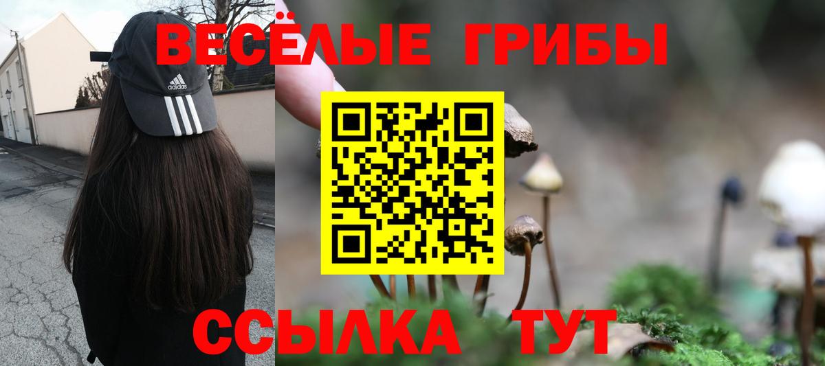 Славянск-на-Кубани  Псилоцибиновые грибы MAGIC MUSHROOMS  Галлюциногенные грибы MAGIC MUSHROOMS  Вход с VPN 